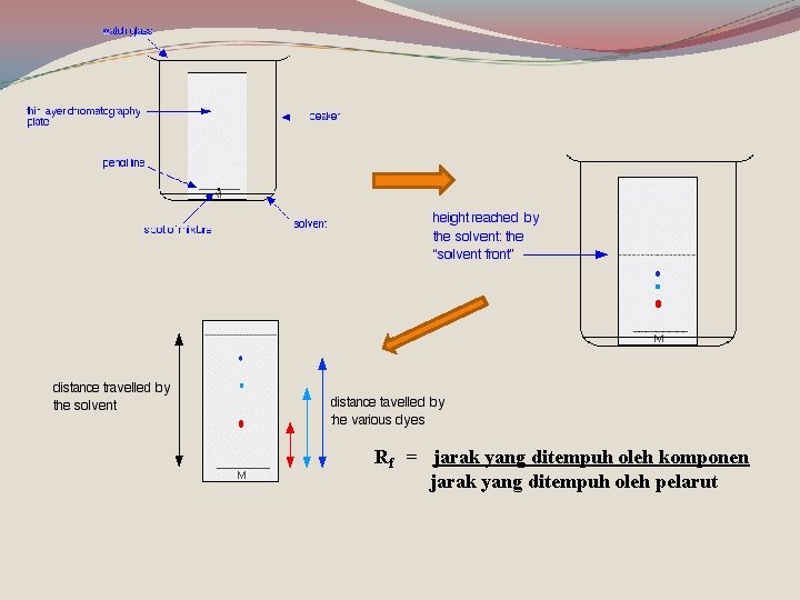 Rf = jarak yang ditempuh oleh komponen jarak yang ditempuh oleh pelarut 