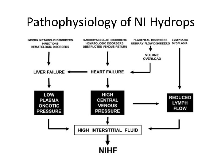 Pathophysiology of NI Hydrops 