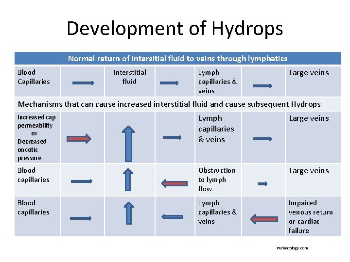 Development of Hydrops Normal return of intersitial fluid to veins through lymphatics Blood Capillaries