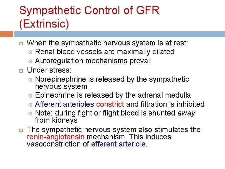 Sympathetic Control of GFR (Extrinsic) When the sympathetic nervous system is at rest: Renal Sympathetic Control of GFR (Extrinsic) When the sympathetic nervous system is at rest: Renal