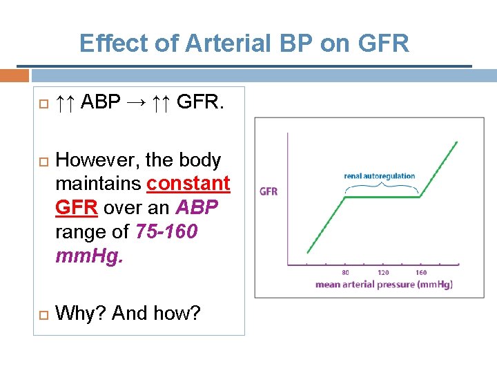 Effect of Arterial BP on GFR ↑↑ ABP → ↑↑ GFR. However, the body