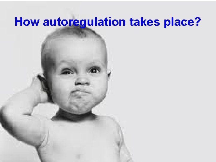 How autoregulation takes place? 