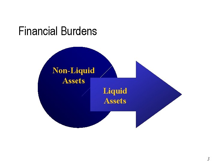 Financial Burdens Non-Liquid Assets Page 37 of 79 3 