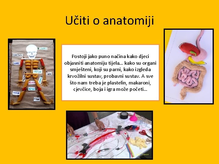 Učiti o anatomiji Postoji jako puno načina kako djeci objasniti anatomiju tijela… kako su