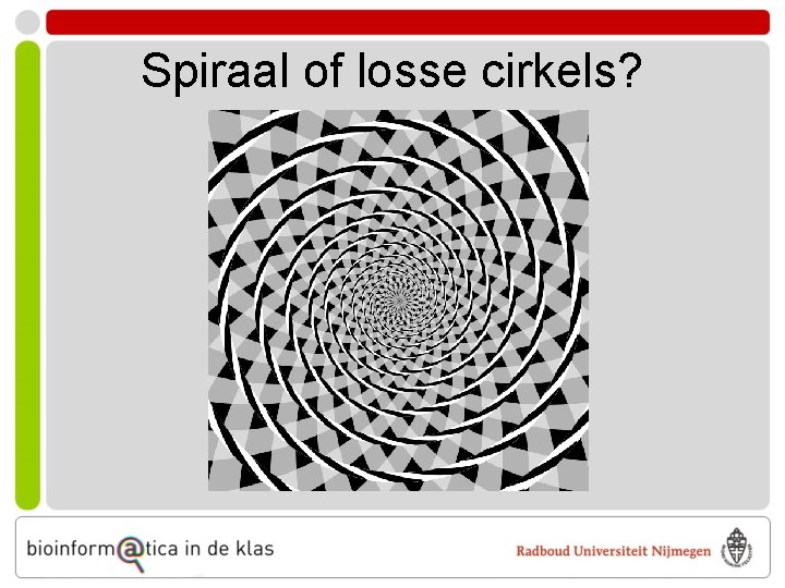 Spiraal of losse cirkels? 