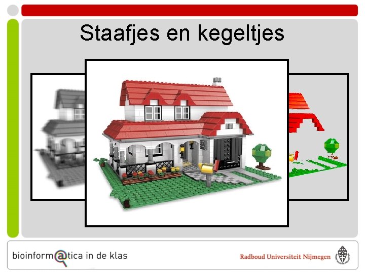 Staafjes en kegeltjes 