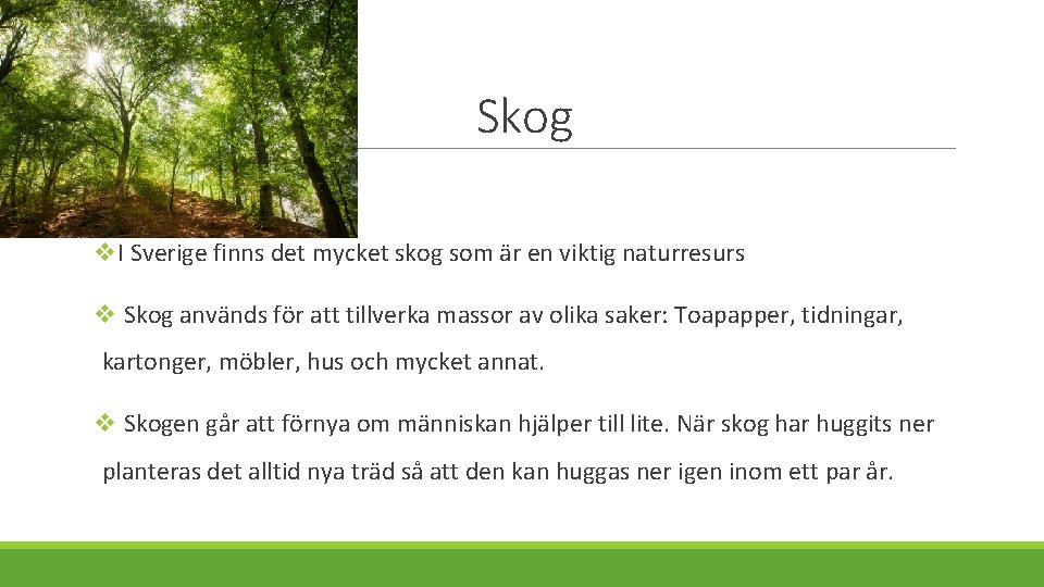 Skog v v. I Sverige finns det mycket skog som är en viktig naturresurs
