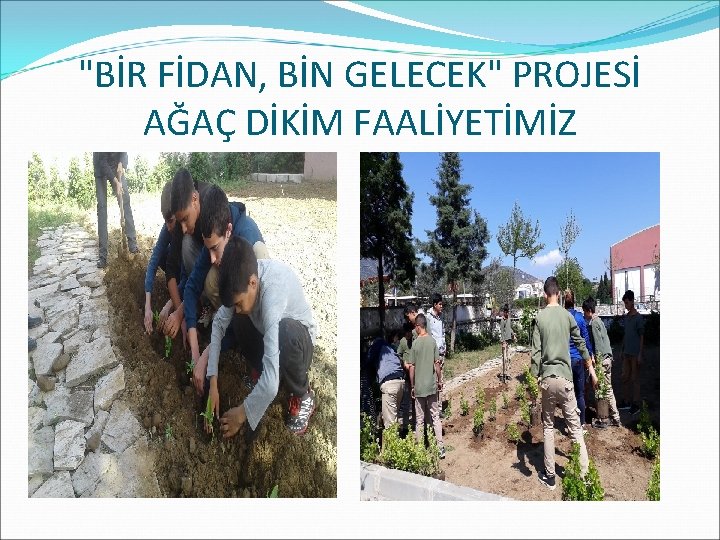 "BİR FİDAN, BİN GELECEK" PROJESİ AĞAÇ DİKİM FAALİYETİMİZ 