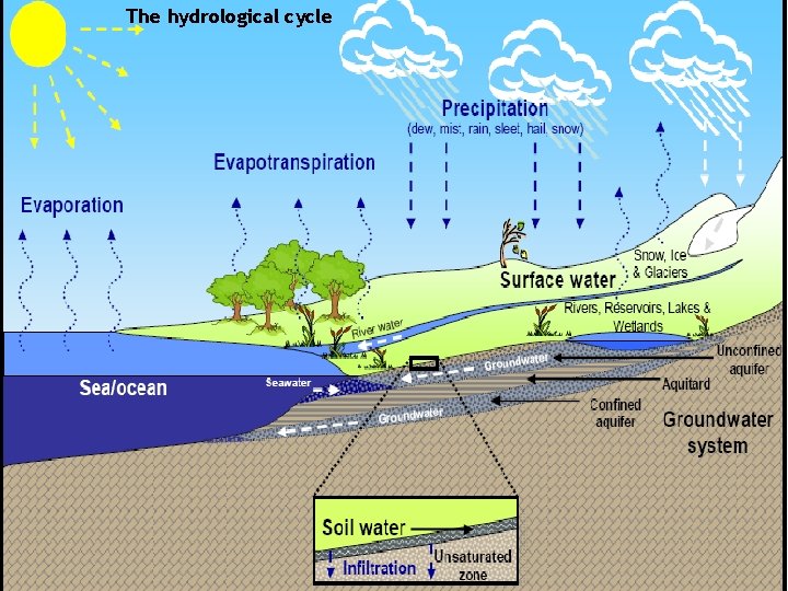 The hydrological cycle 