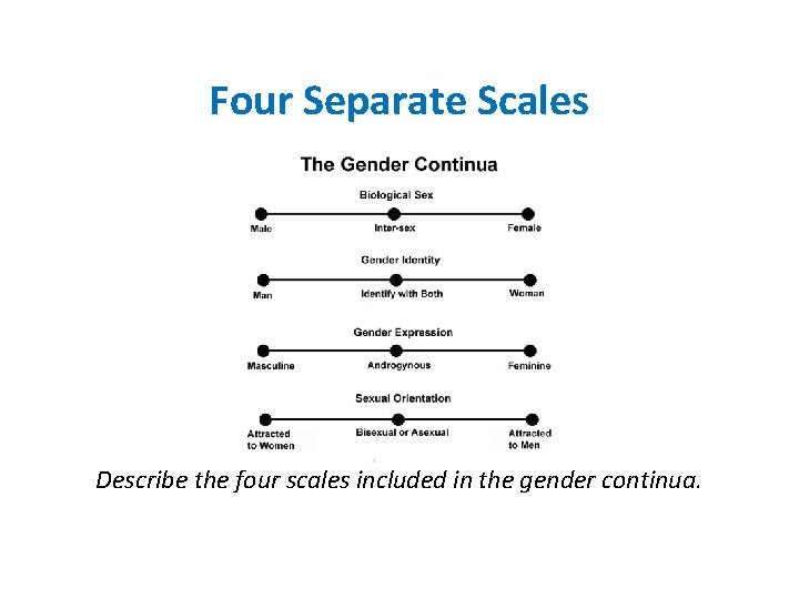 Four Separate Scales Describe the four scales included in the gender continua. 