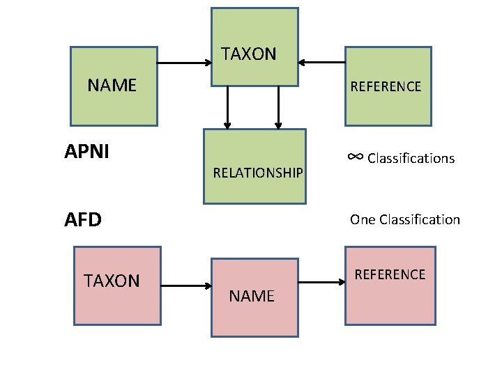 TAXON NAME APNI REFERENCE RELATIONSHIP AFD TAXON ∞ Classifications One Classification REFERENCE NAME 