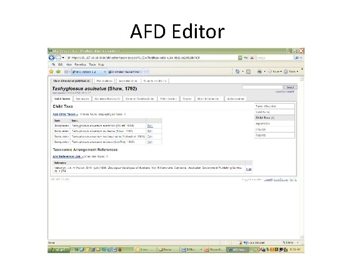 AFD Editor 