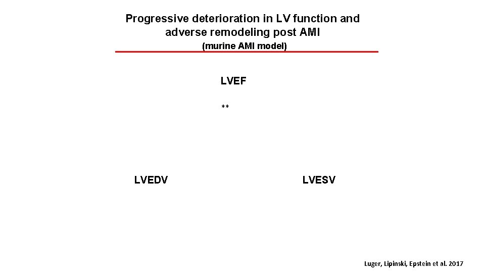 Progressive deterioration in LV function and adverse remodeling post AMI (murine AMI model) LVEF