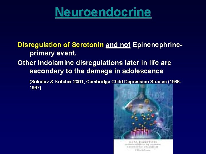 Neuroendocrine Disregulation of Serotonin and not Epinenephrineprimary event. Other indolamine disregulations later in life