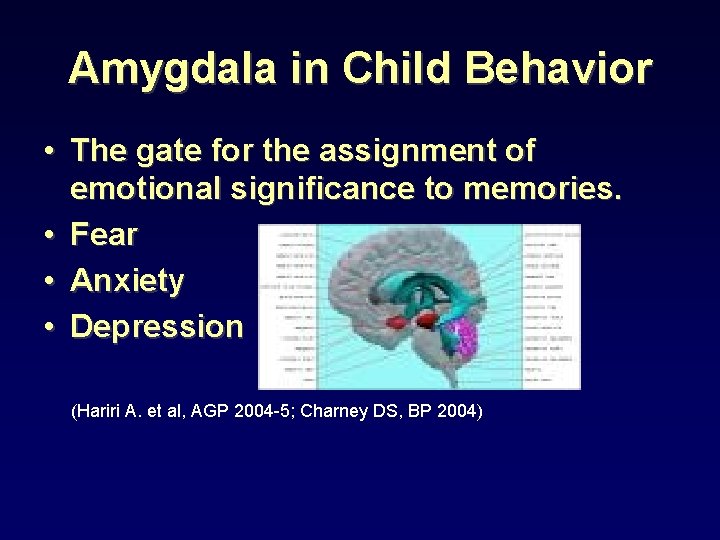 Amygdala in Child Behavior • The gate for the assignment of emotional significance to