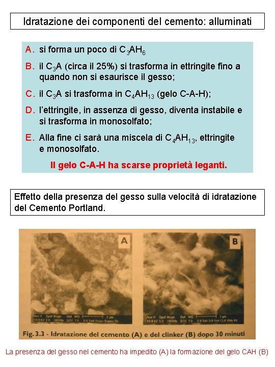 Idratazione dei componenti del cemento: alluminati A. si forma un poco di C 3