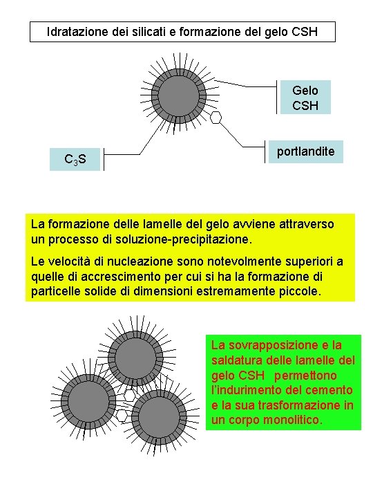 Idratazione dei silicati e formazione del gelo CSH Gelo CSH C 3 S portlandite