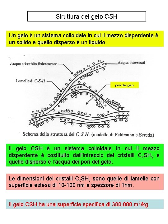 Struttura del gelo CSH Un gelo è un sistema colloidale in cui il mezzo