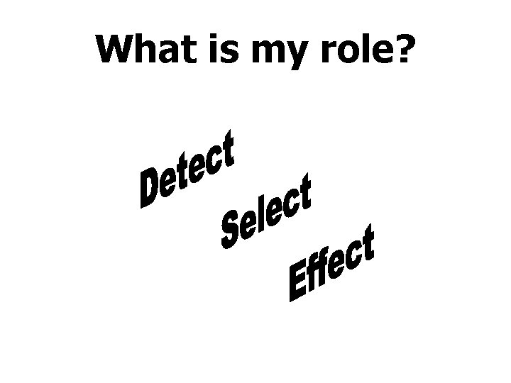 What is my role? 