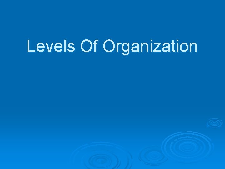 Levels Of Organization 