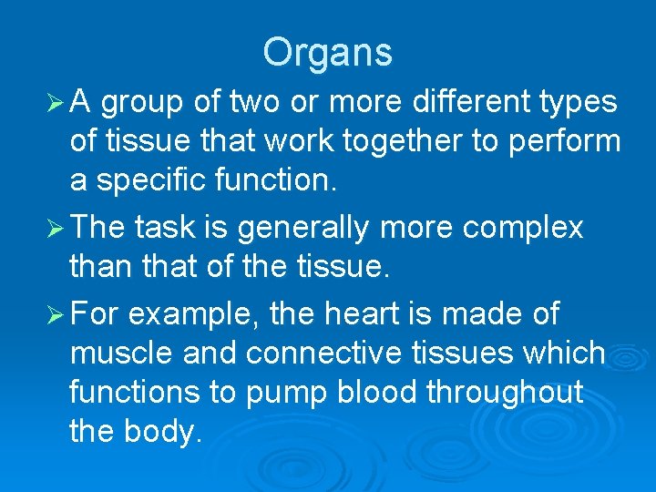 Organs Ø A group of two or more different types of tissue that work