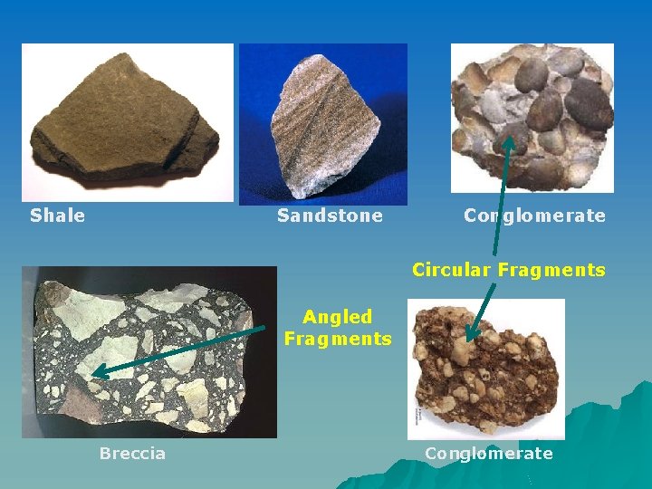 Shale Sandstone Conglomerate Circular Fragments Angled Fragments Breccia Conglomerate Shale Sandstone Conglomerate Circular Fragments Angled Fragments Breccia Conglomerate