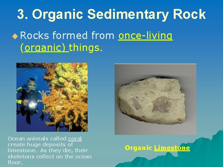 3. Organic Sedimentary Rock u Rocks formed from once-living (organic) things. Ocean animals called 3. Organic Sedimentary Rock u Rocks formed from once-living (organic) things. Ocean animals called