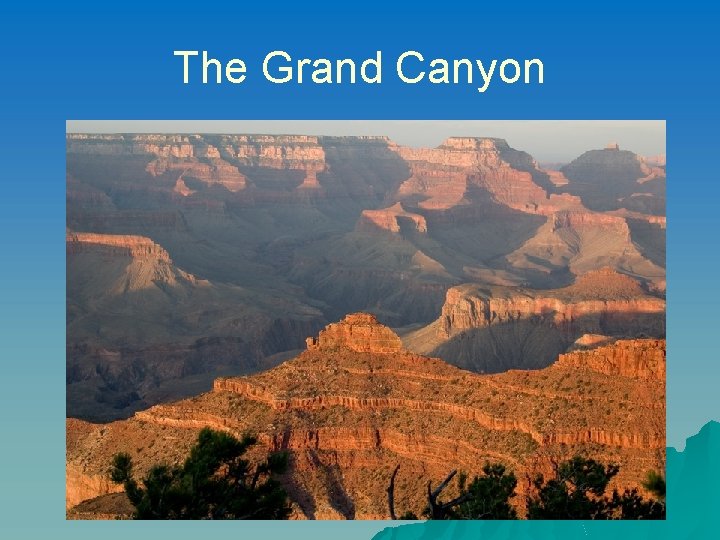 The Grand Canyon The Grand Canyon