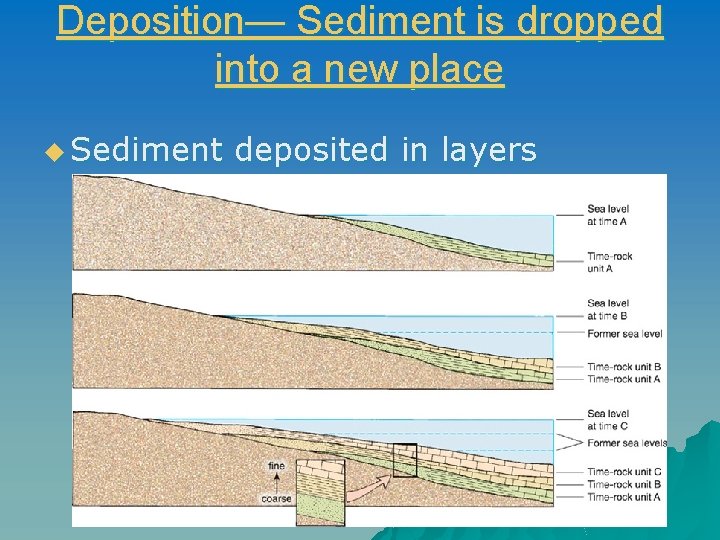 Deposition— Sediment is dropped into a new place u Sediment deposited in layers Deposition— Sediment is dropped into a new place u Sediment deposited in layers