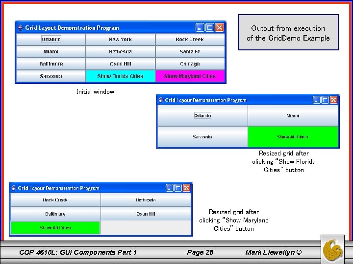 Output from execution of the Grid. Demo Example Initial window Resized grid after clicking