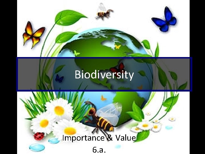 Biodiversity Importance & Value 6. a. 