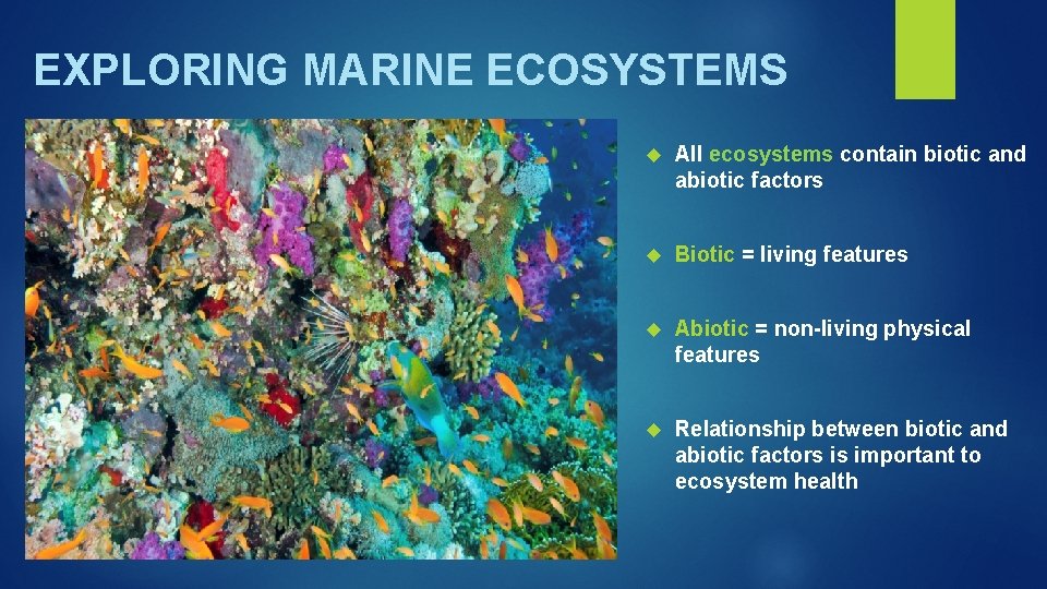 EXPLORING MARINE ECOSYSTEMS All ecosystems contain biotic and abiotic factors Biotic = living features