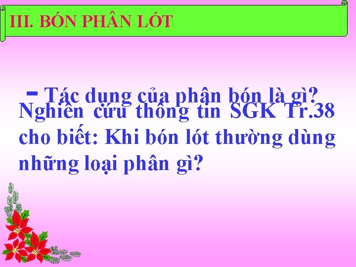 III. BÓN PH N LÓT Tác dụng của phân bón là gì? Nghiên cứu