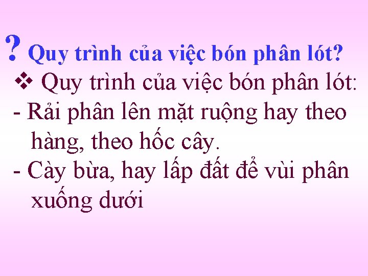 ? Quy trình của việc bón phân lót? v Quy trình của việc bón