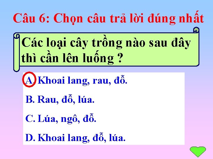 Câu 6: Chọn câu trả lời đúng nhất Các loại cây trồng nào sau