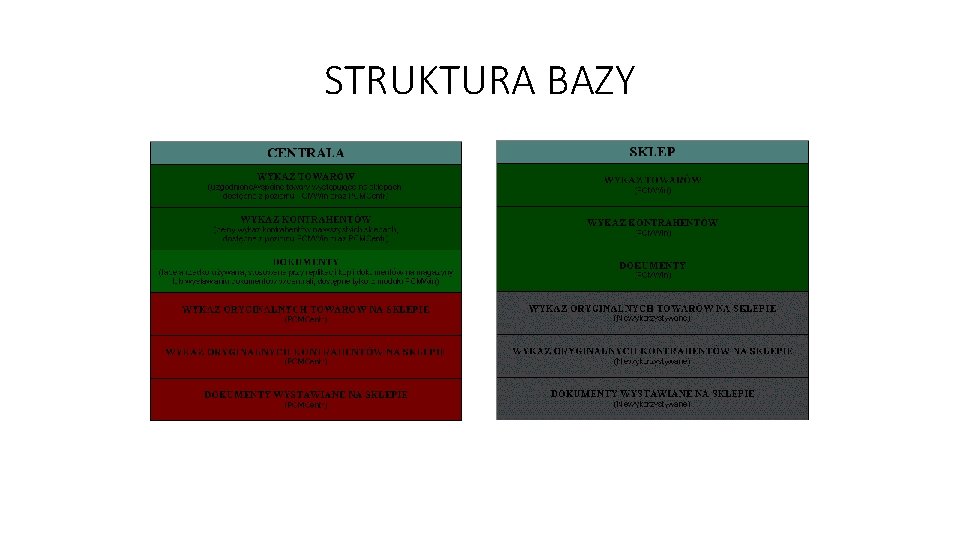 STRUKTURA BAZY 