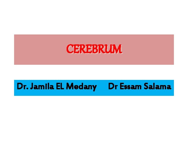 CEREBRUM Dr. Jamila EL Medany Dr Essam Salama 