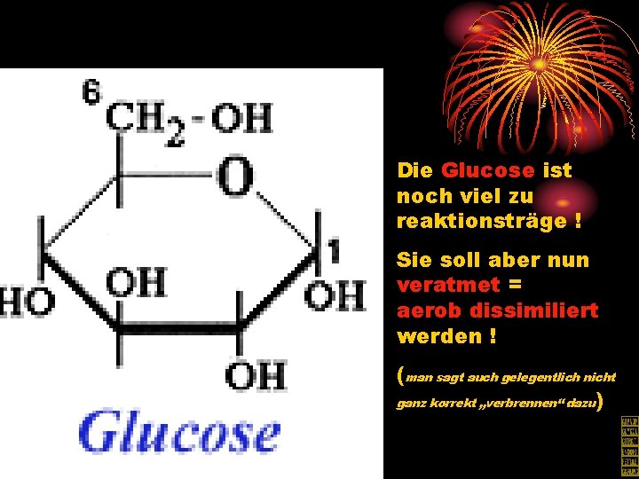 Die Glucose ist noch viel zu reaktionsträge ! Sie soll aber nun veratmet =