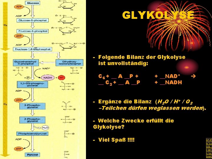 GLYKOLYSE - Folgende Bilanz der Glykolyse ist unvollständig: C 6 + __ A __P