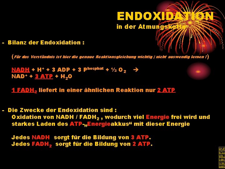 ENDOXIDATION in der Atmungskette - Bilanz der Endoxidation : (Für das Verständnis ist hier