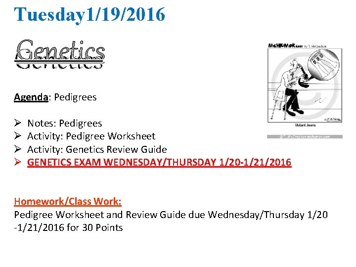 Tuesday 1/19/2016 Genetics Agenda: Pedigrees Ø Ø Notes: Pedigrees Activity: Pedigree Worksheet Activity: Genetics