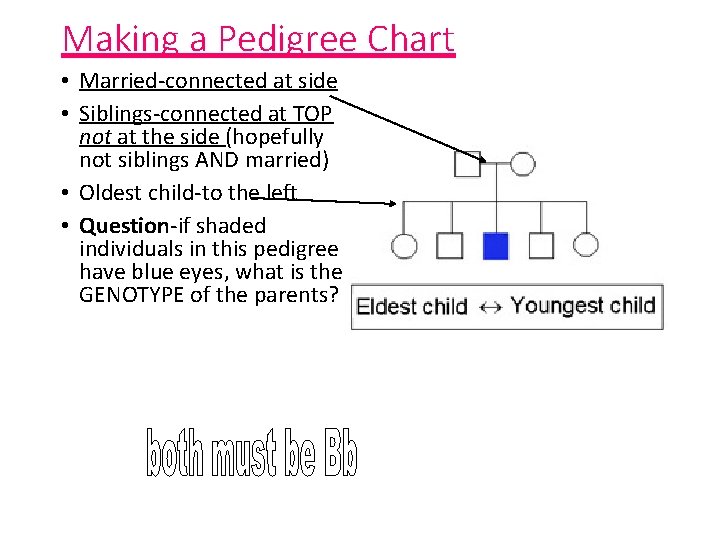 Making a Pedigree Chart • Married-connected at side • Siblings-connected at TOP not at