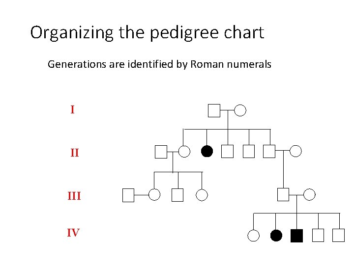 Organizing the pedigree chart Generations are identified by Roman numerals I II IV 