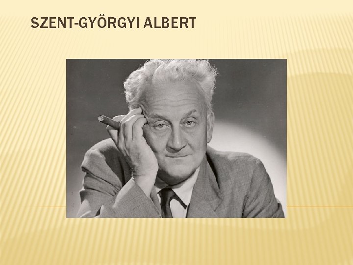 SZENT-GYÖRGYI ALBERT 