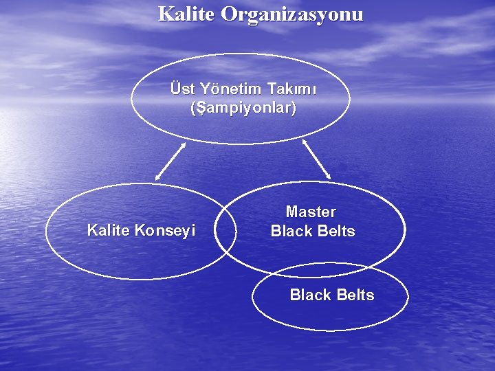 Kalite Organizasyonu Üst Yönetim Takımı (Şampiyonlar) Kalite Konseyi Master Black Belts 