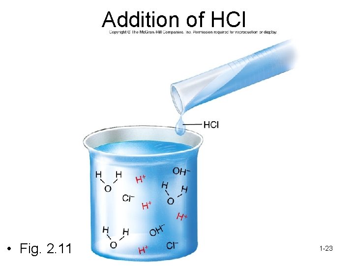 Addition of HCl • Fig. 2. 11 1 -23 