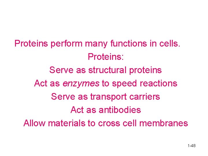 Proteins perform many functions in cells. Proteins: Serve as structural proteins Act as enzymes