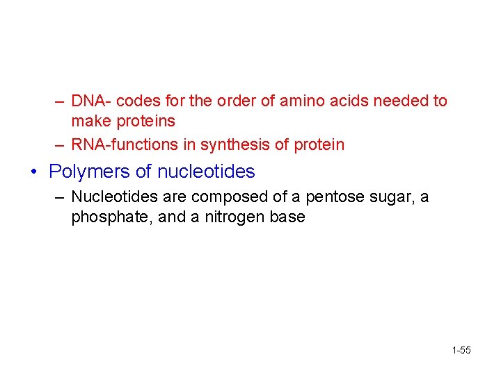 – DNA- codes for the order of amino acids needed to make proteins –