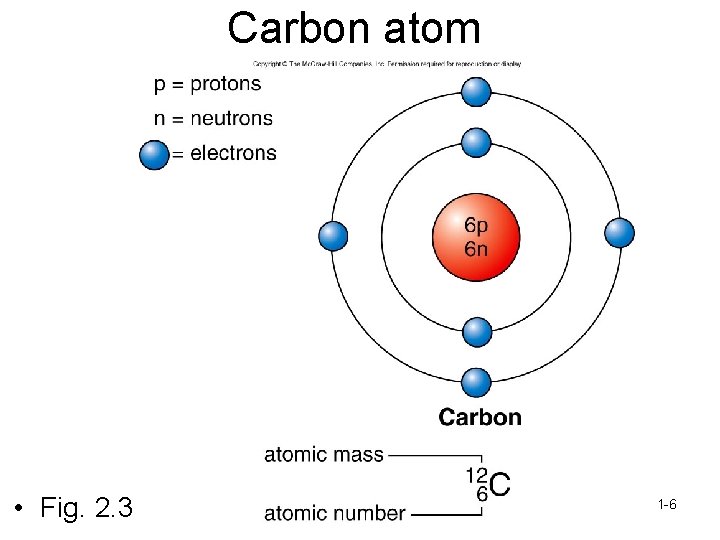 Carbon atom • Fig. 2. 3 1 -6 