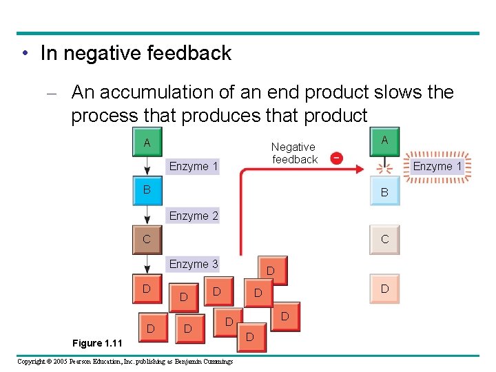  • In negative feedback – An accumulation of an end product slows the